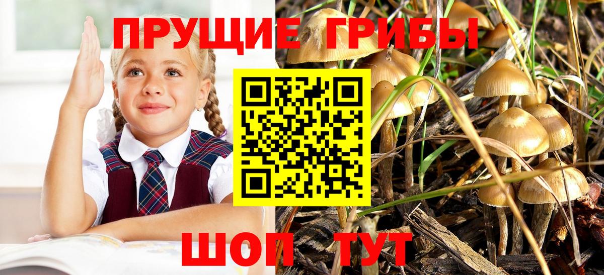 Галлюциногенные грибы Magic Shrooms  Псилоцибиновые грибы Psilocybine cubensis  Севастополь  Вход с VPN 